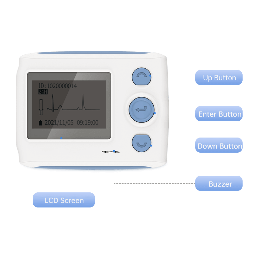 Holter monitor with LCD screen