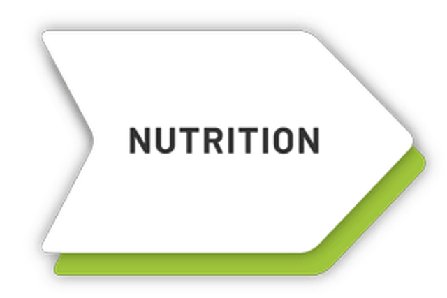 Nutrition icon