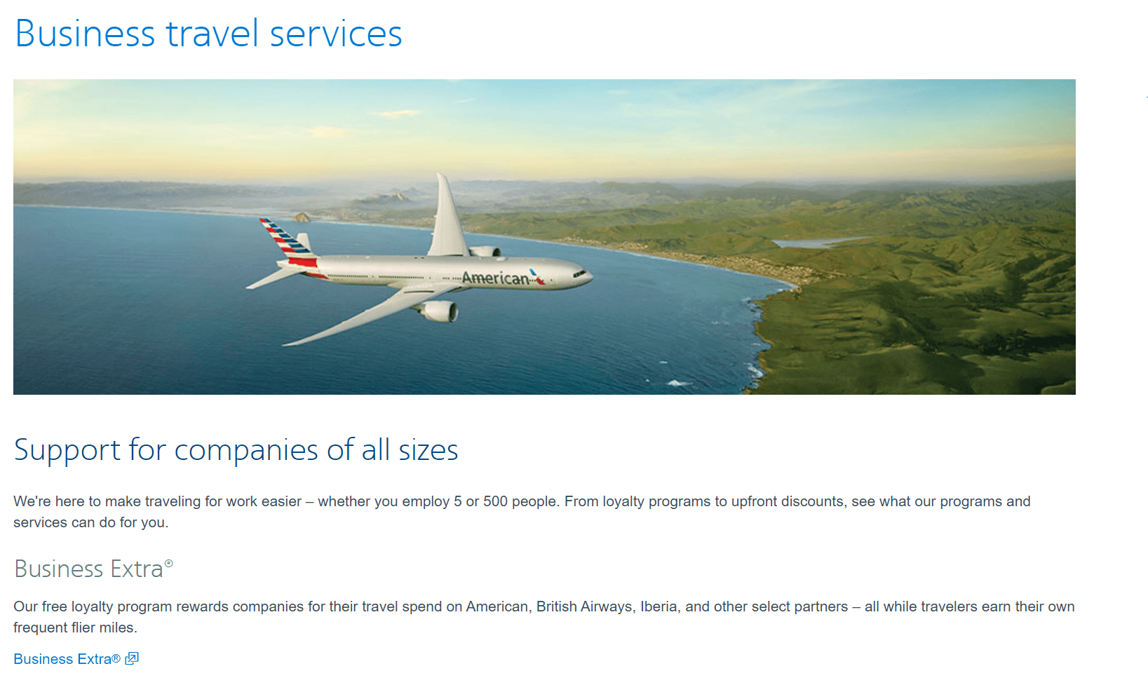 American Airlines product / service