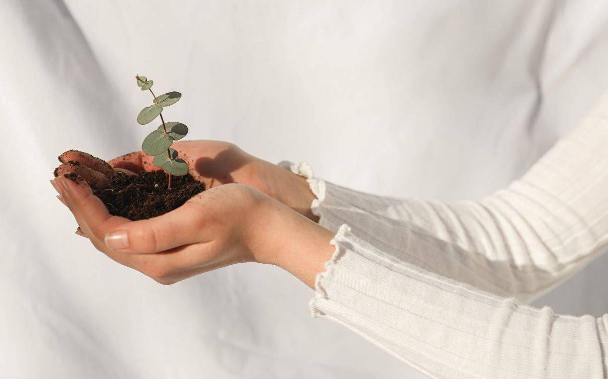 Sustainbility - Woman holding a plant with soil