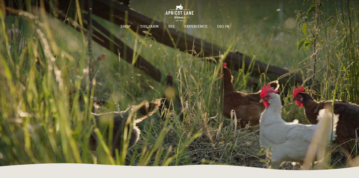 Screenshot of Apricot Lane Farms, from the farm websites collection.
