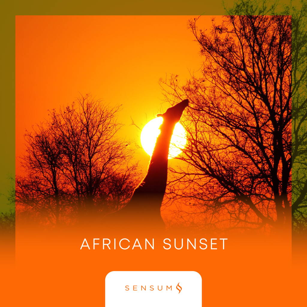 African Sunset Sensum