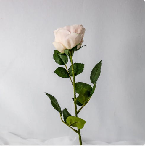 Light Pink David Austin Real Touch Open Bud Rose - Realistic Artificial Flowers - Image 3