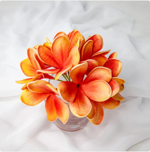 Tangerine Frangipani Flowerhead (6 Pack) - Realistic Artificial Flowers - Image 5