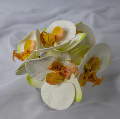 Light Pink Phalaenopsis Flowerhead (6 Pack) - Realistic Artificial Flowers - Image 3