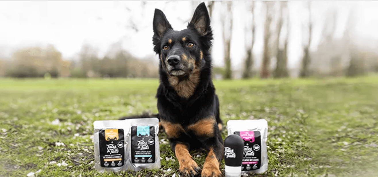 Nassfutter für Hunde, 100% Fisch, Monoprotein