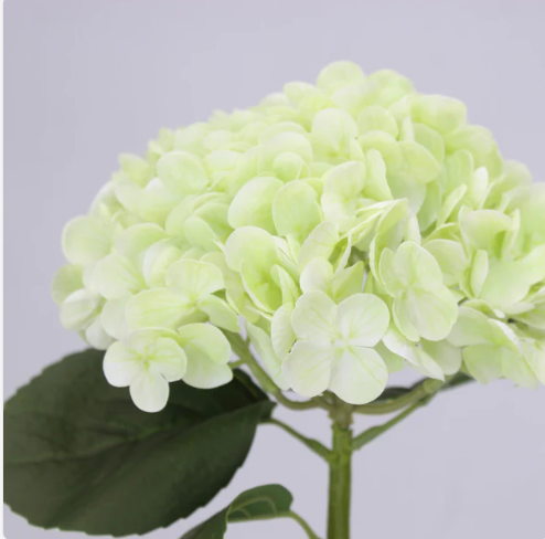 Light Green Real Touch Hydrangea - Realistic Artificial Flowers - Image 2