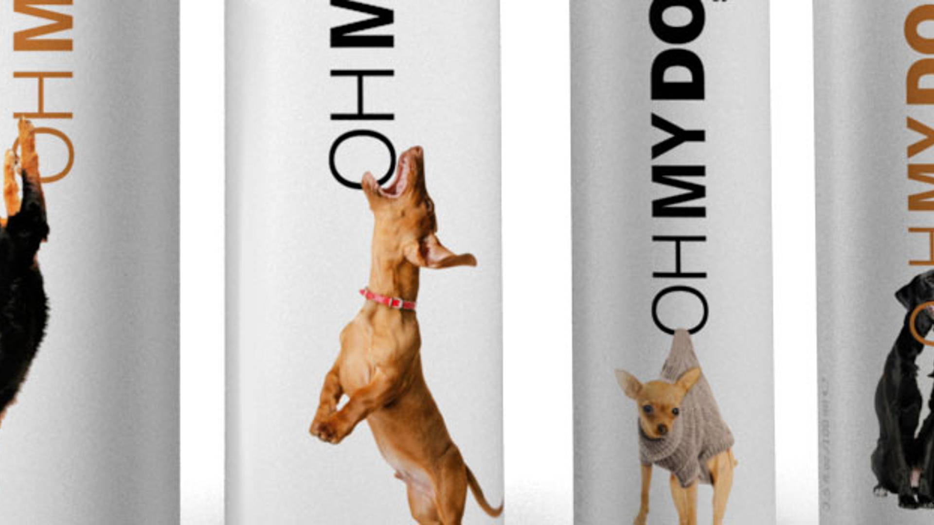 Featured image for Oh My Dog!