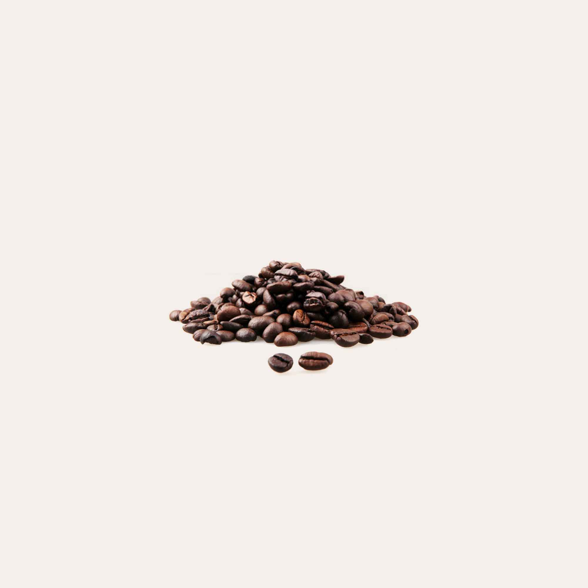 coffee beans on solid background