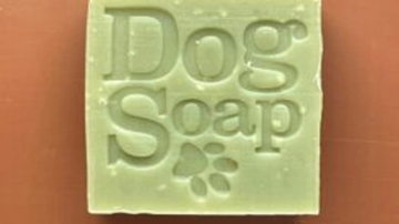 Main Content Image