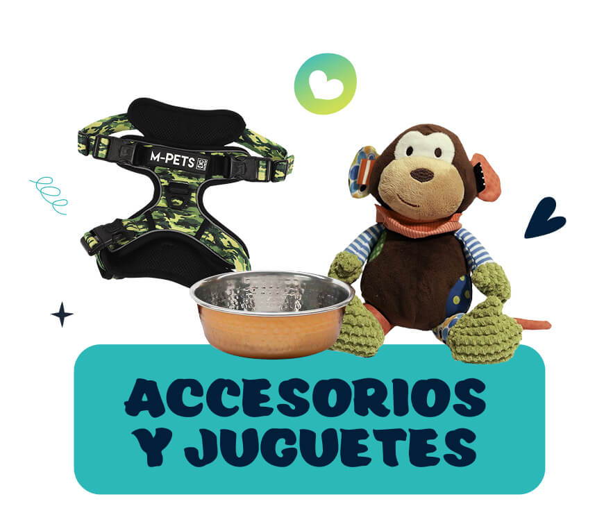accesorios y juguetes