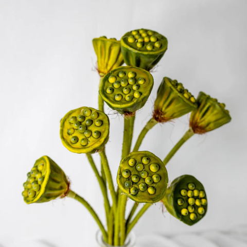 Lotus Pod - Realistic Artificial Flowers and Greenery
