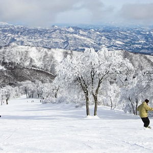 Day 2: Lift tickets