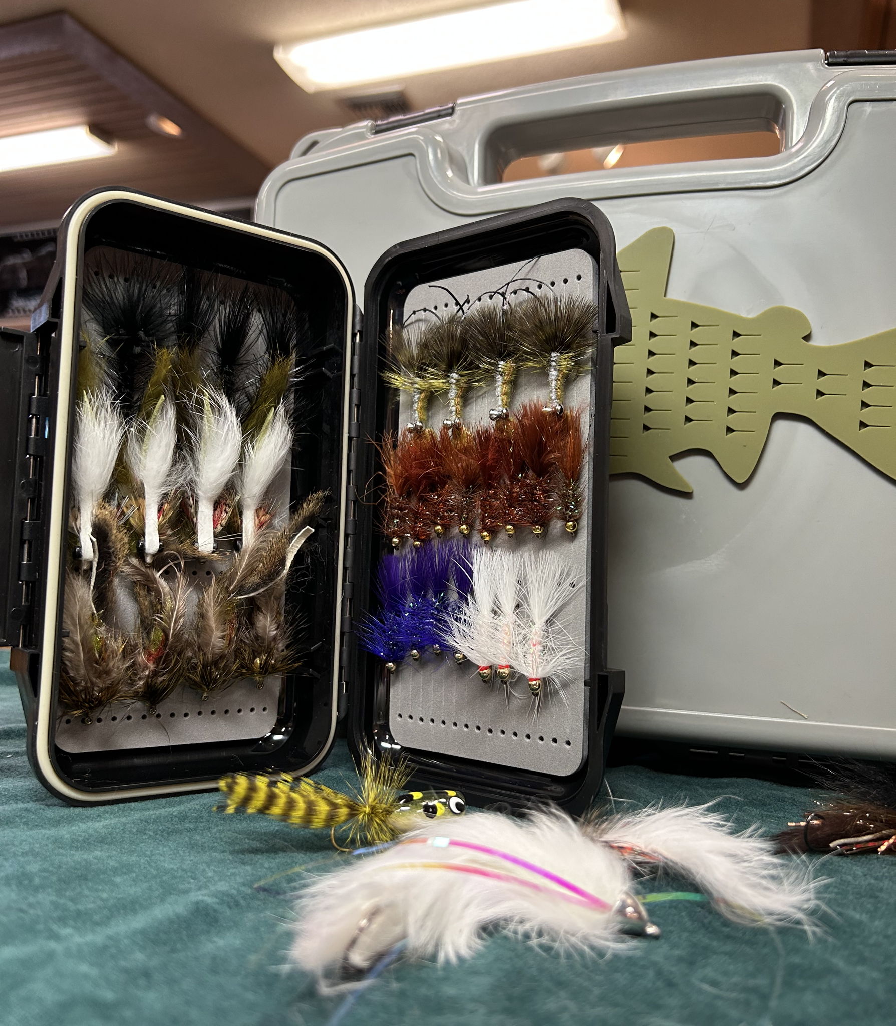 Fly Box Selection