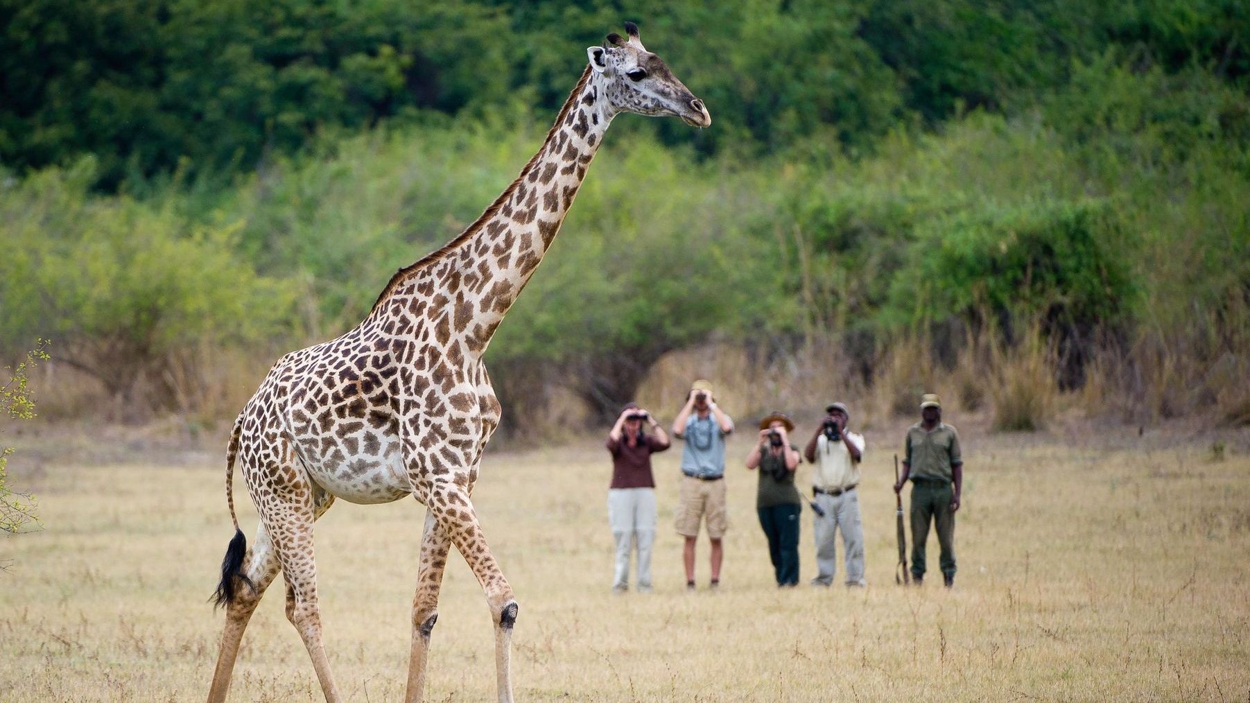 10 Day Unforgettable Zambia Safari Experience