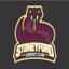 stoneyford cricket club logo