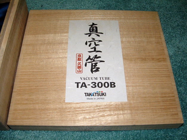 Takatsuki TA-300B tubes (matched pair)