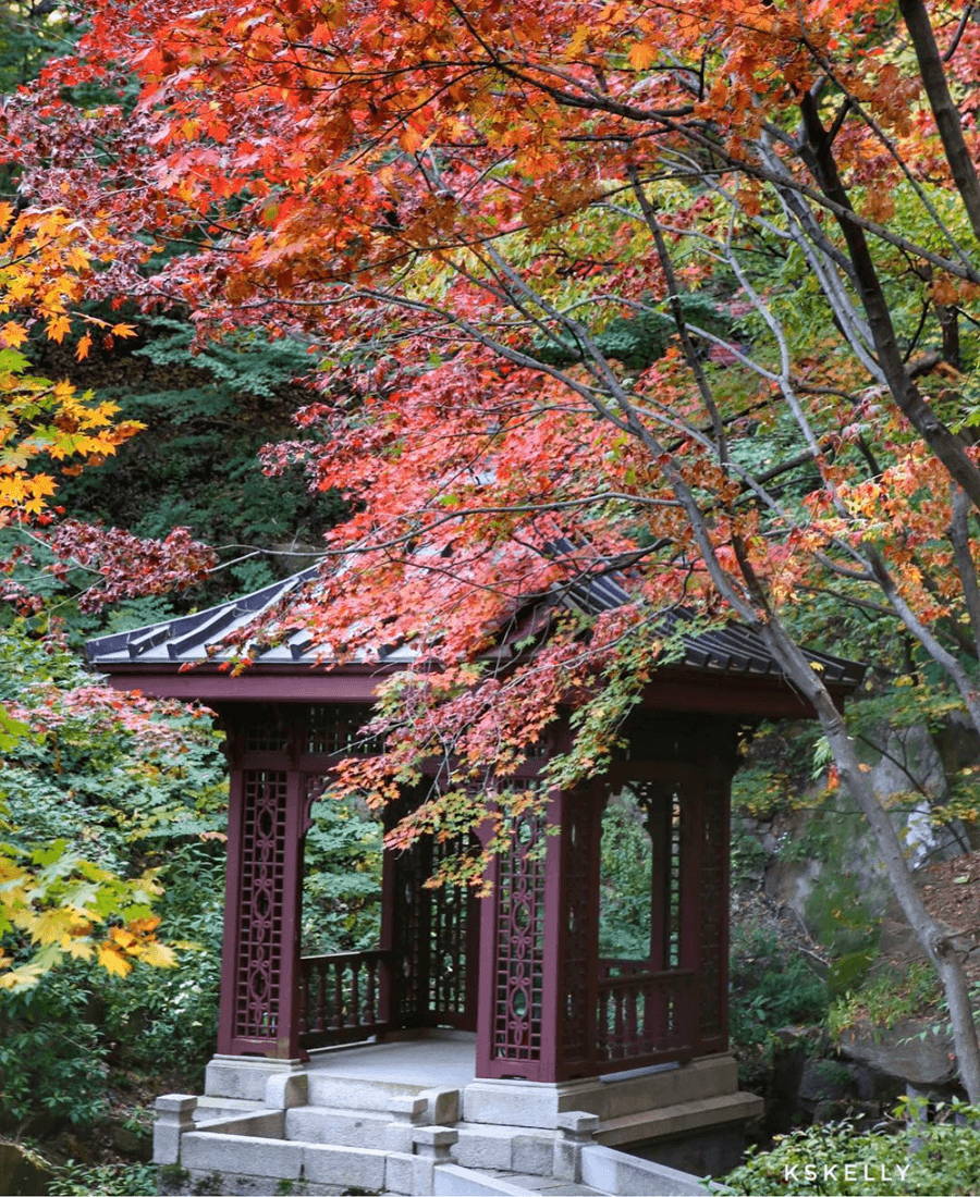 Nature hideaway Hidden Gem Seokpajeong