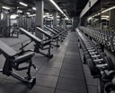 Max Fitness Flora: Tomáš Harant
