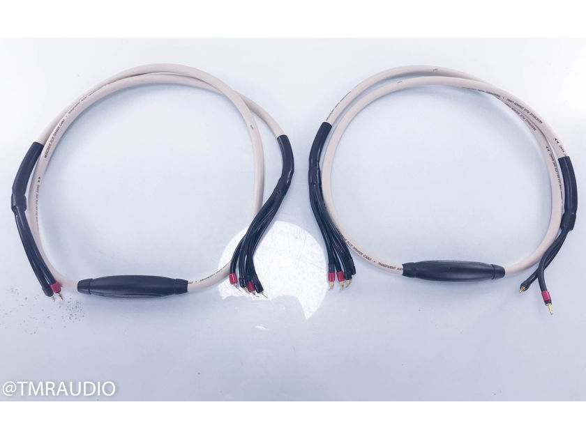Transparent Audio MusicWave Plus Biwire Speaker Cables MM1; 8ft Pair (13899)