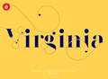 Virginia Typography, Yellow poster, Alternate glyphs, Lowercase g, Sexy fonts, Sexy logos, Moshik Nadav, Segol Typeface, Cool logo fonts, Vogue fonts, Elle Magazine fonts, elle Typeface, VS fonts, Victorias secret fonts, Moshik Nadav