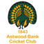 Astwood bank cricket club logo