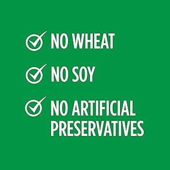 No Wheat, Soy, Artificial Preservatives | My Organic Company