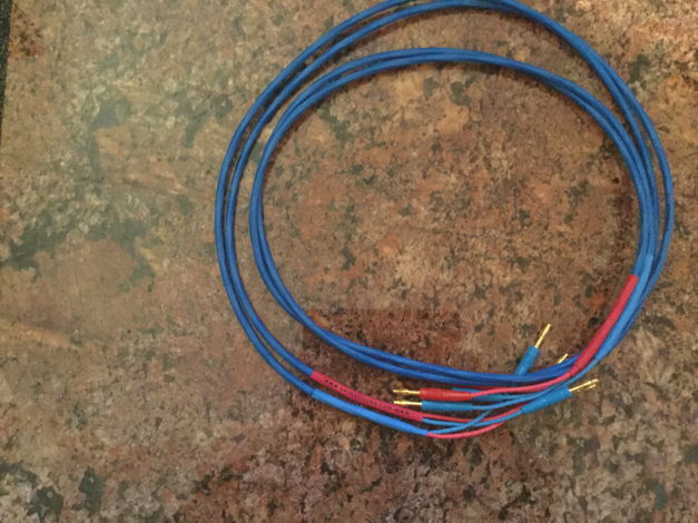 Crimson  Cable Speaker Cable
