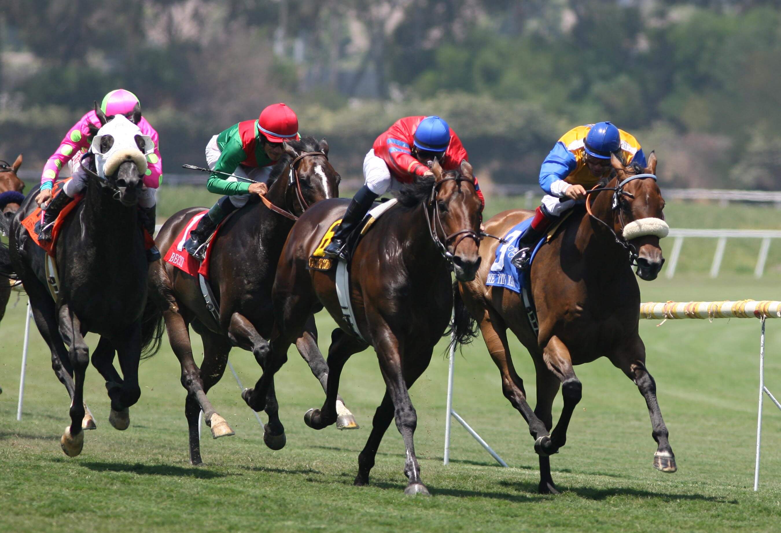 horse racing gambling