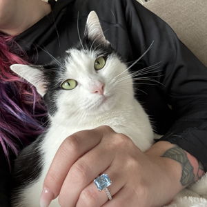 Help us buy Rory a house!