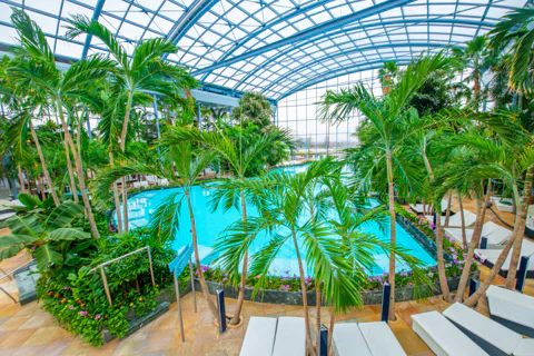 Relax and Fun at Thermal Spa Bucharest (Admission Ticket)