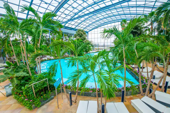 Relax and Fun at Thermal Spa Bucharest (Admission Ticket)