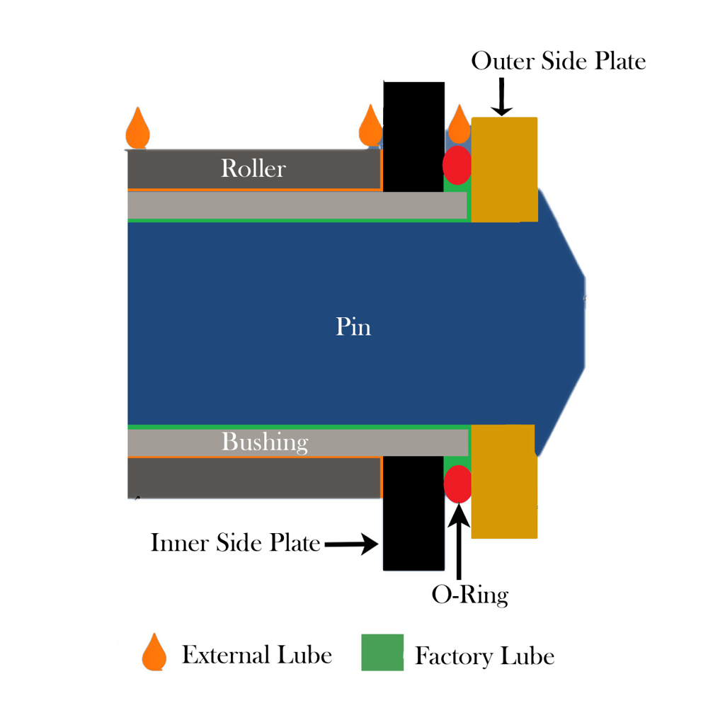 Motorcycle Chain Cross Section