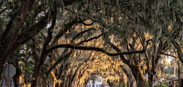 Sugar Loaf Mountain and Lake Apopka Loop