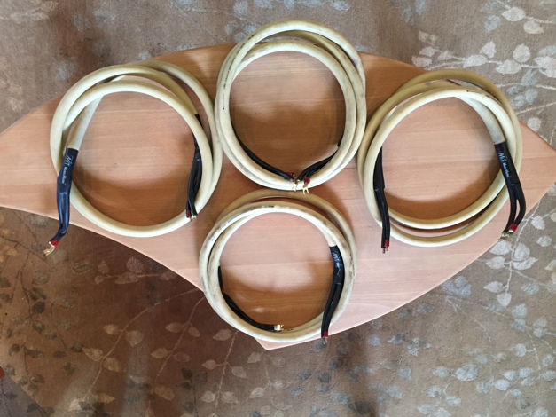 MIT Cables MH-750 Shotgun spk 1 Pair Left! For Sale | Audiogon