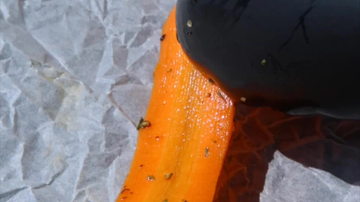Main Content Image