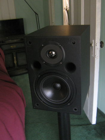 Platinum Audio PT-801 Monitor Speakers