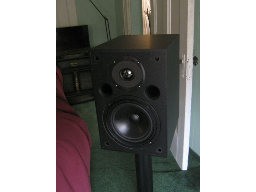 Platinum Audio PT-801 Monitor Speakers