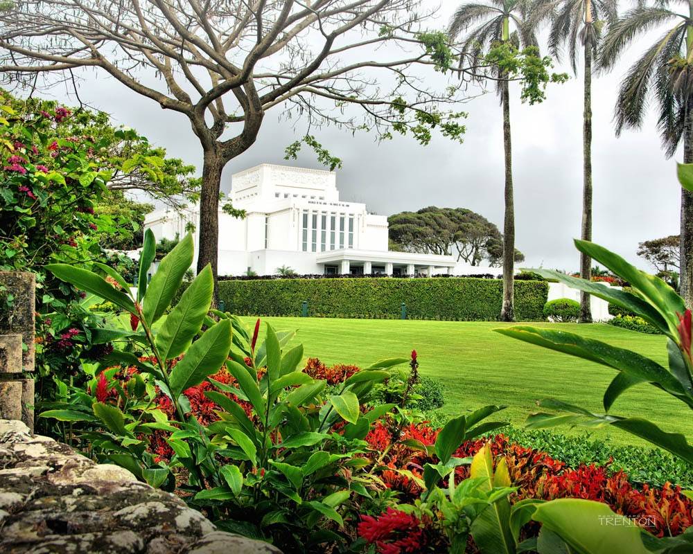 LDS art Laie Hawaii Temple picture taken at an angle, emphasizing the lush flowerbeds.