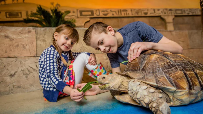 One World Interactive Aquarium