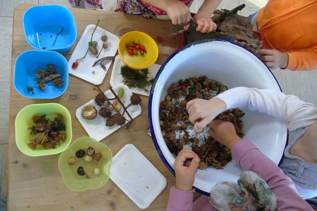 Big bowl full of different nuts and children sorting them in dedicated bins.