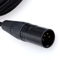 Hifiman Crystalline 3m Balanced Cable with 10' extensio... 2