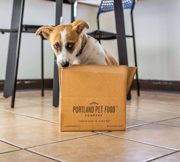 A puppy gnawing at the side of a Portland Pet Food subscription delivery box. 