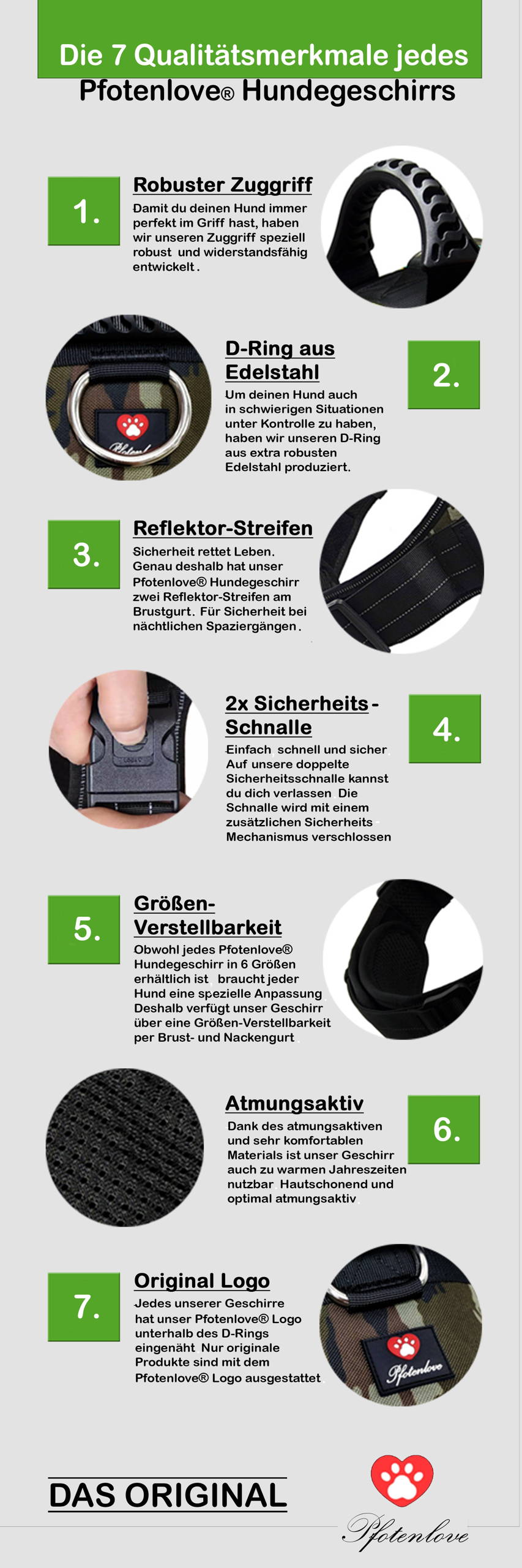 Detaillierte Beschriftung aller Eigenschaften des Hundegeschirrs