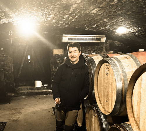 Pierrick Bouley, Burgundy, Cote de Beaune, Bourgogne, Pommard, Volnay, , Wine, White Wine, Singapore, France, French Wine, Fine Wine, Galiena, Fine Wines, Shop, Importer