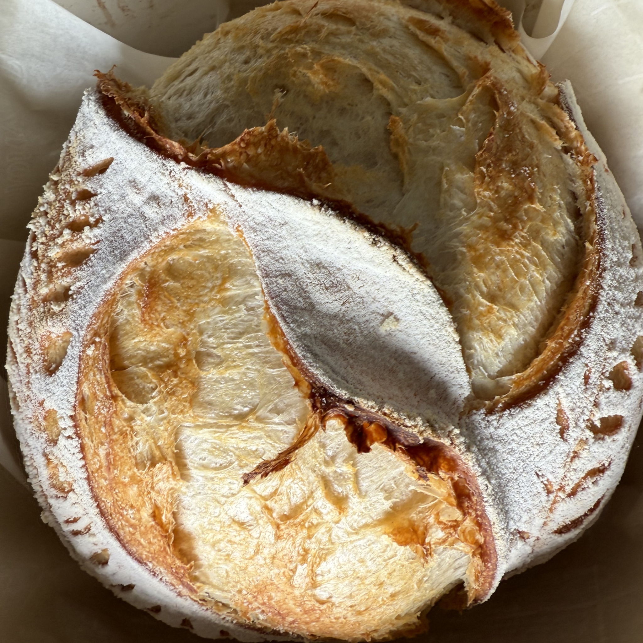 Dena Rheaume | Sourdough Home Baker — photo from hotplate.com