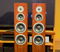Dynaudio Focus 380 Rosewood Speakers 3