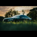Audi in a dream and in a field