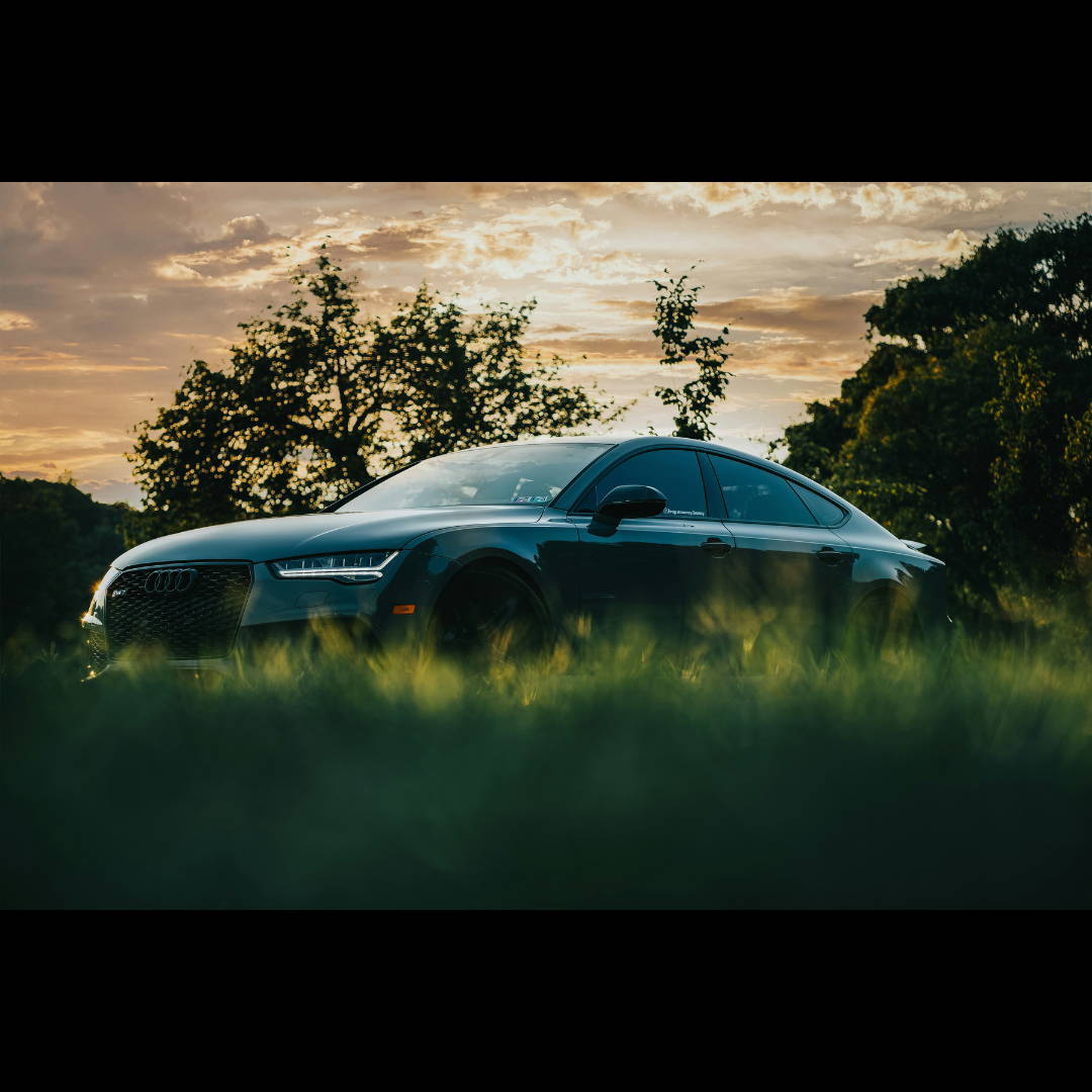 Audi in a dream and in a field
