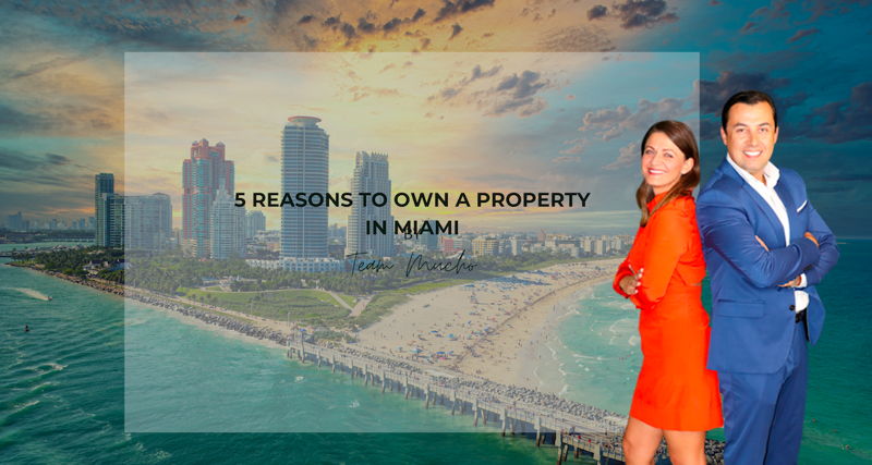 featured image for story, 5 REASONS TO OWN A PROPERTY IN MIAMI